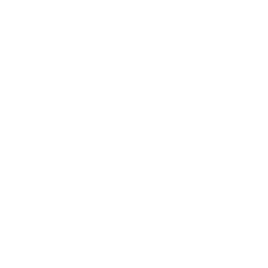 Finanzielle Sicherheit